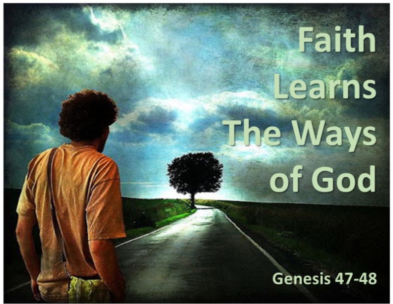 Faith Learns the Ways of God
